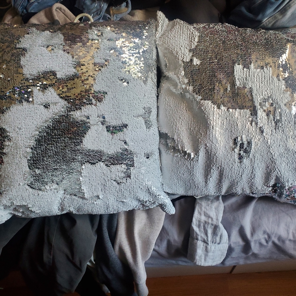 2 sequin decorative pillows